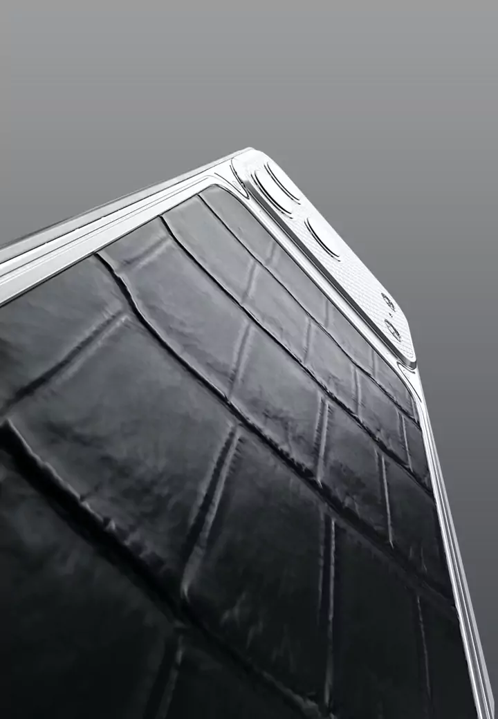 Натуральная Кожа Silver Black