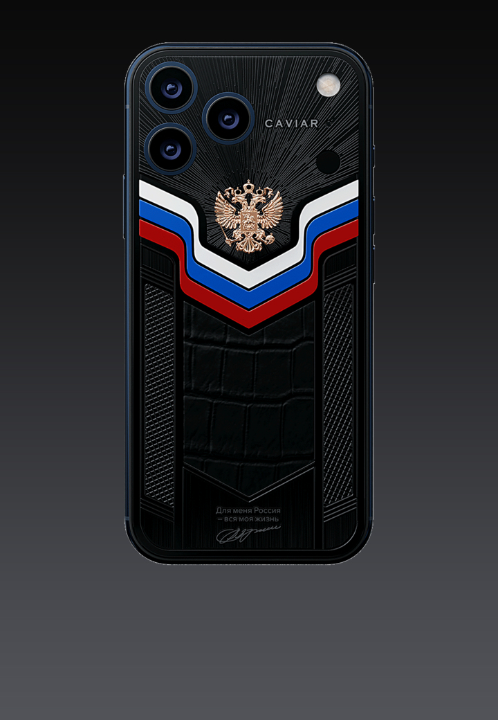 Идея модели Говорит Президент России