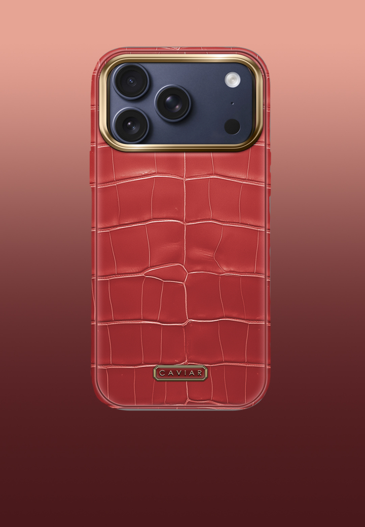 Чехол с синим корпусом Phoenix