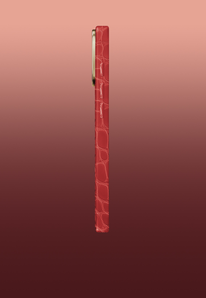 Вид сбоку Phoenix